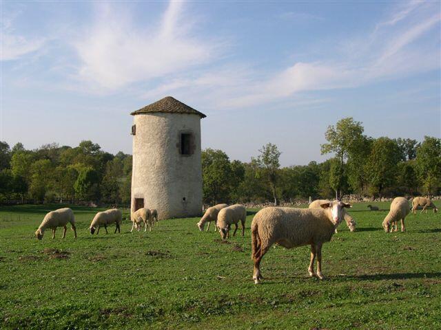 Pigeonnier Sébazac.jpg