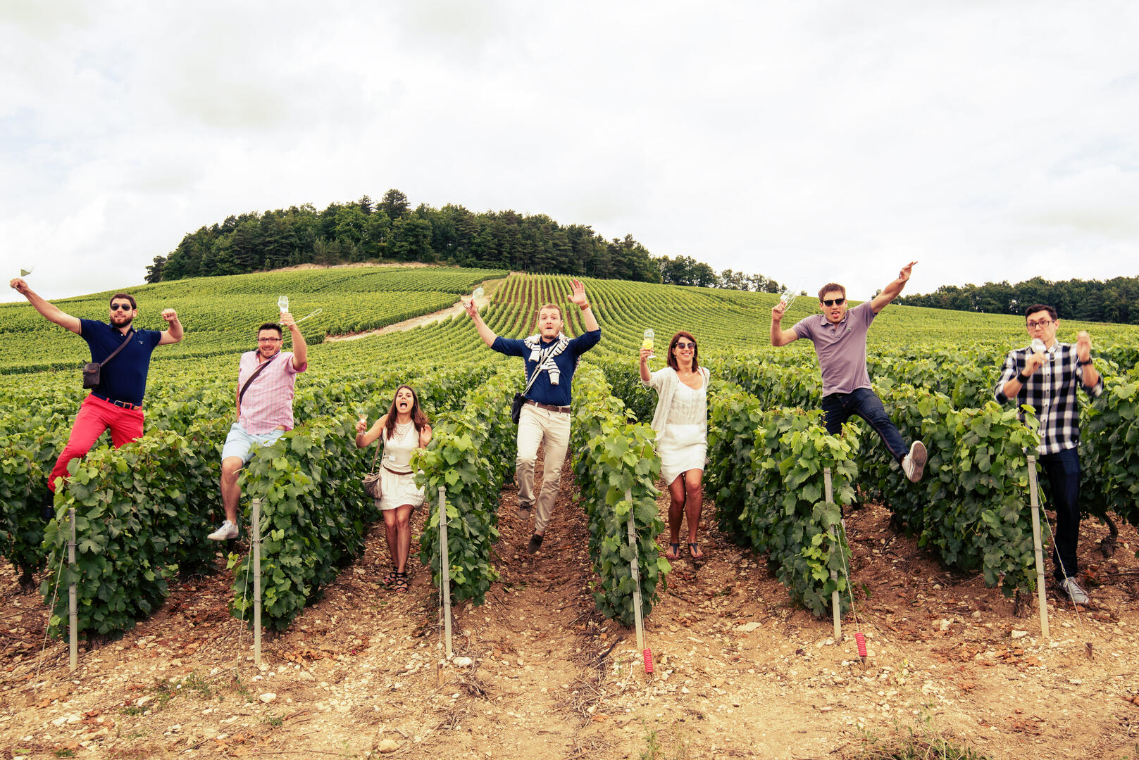 Vendanges - Champagne Beerens.jpg
