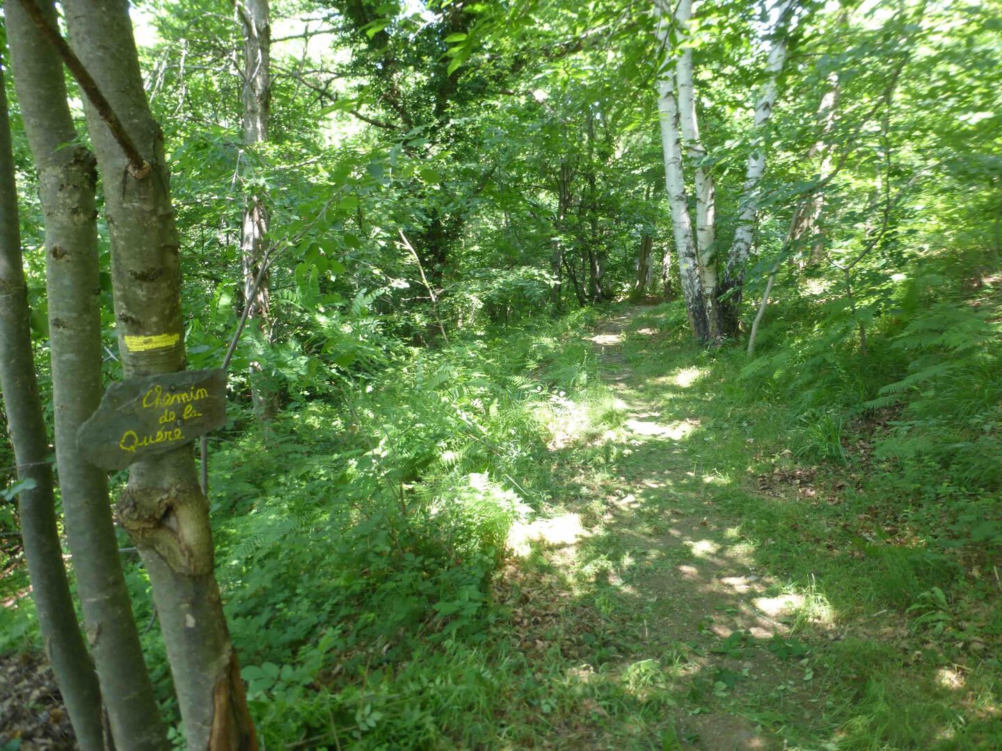 chemin du Quère.jpg