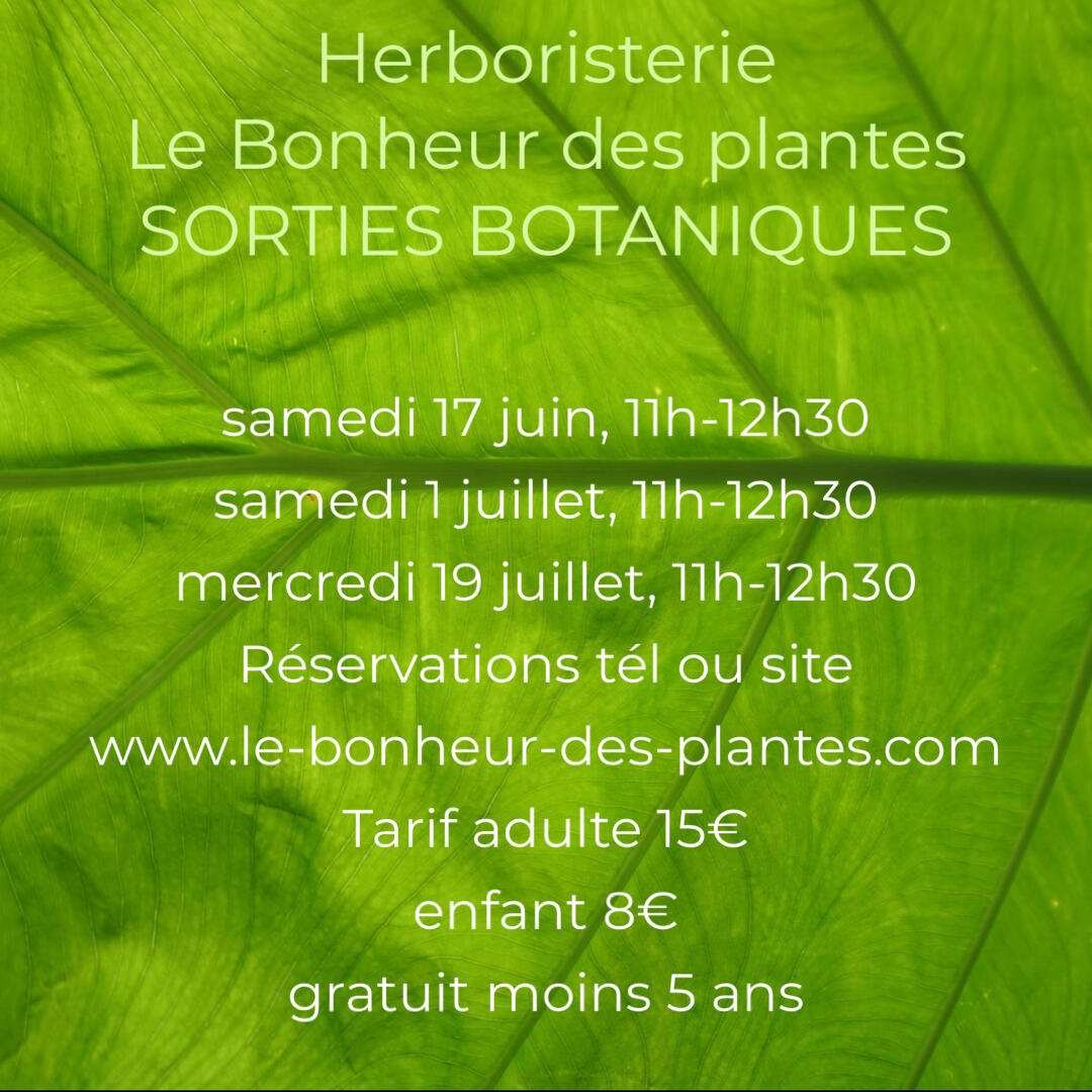 calendrier sorties botas - severine wilcock.jpg