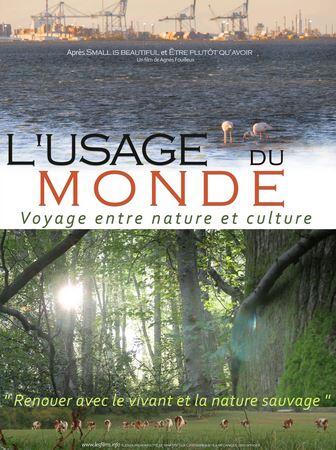 L'usage du monde.JPG