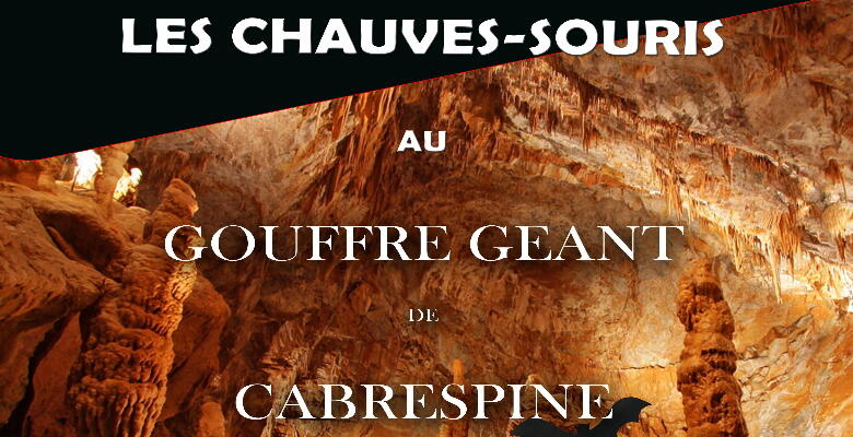 cabrespine02.jpg