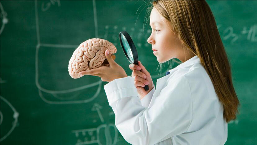 Atelier connais tu ton cerveau.jpg