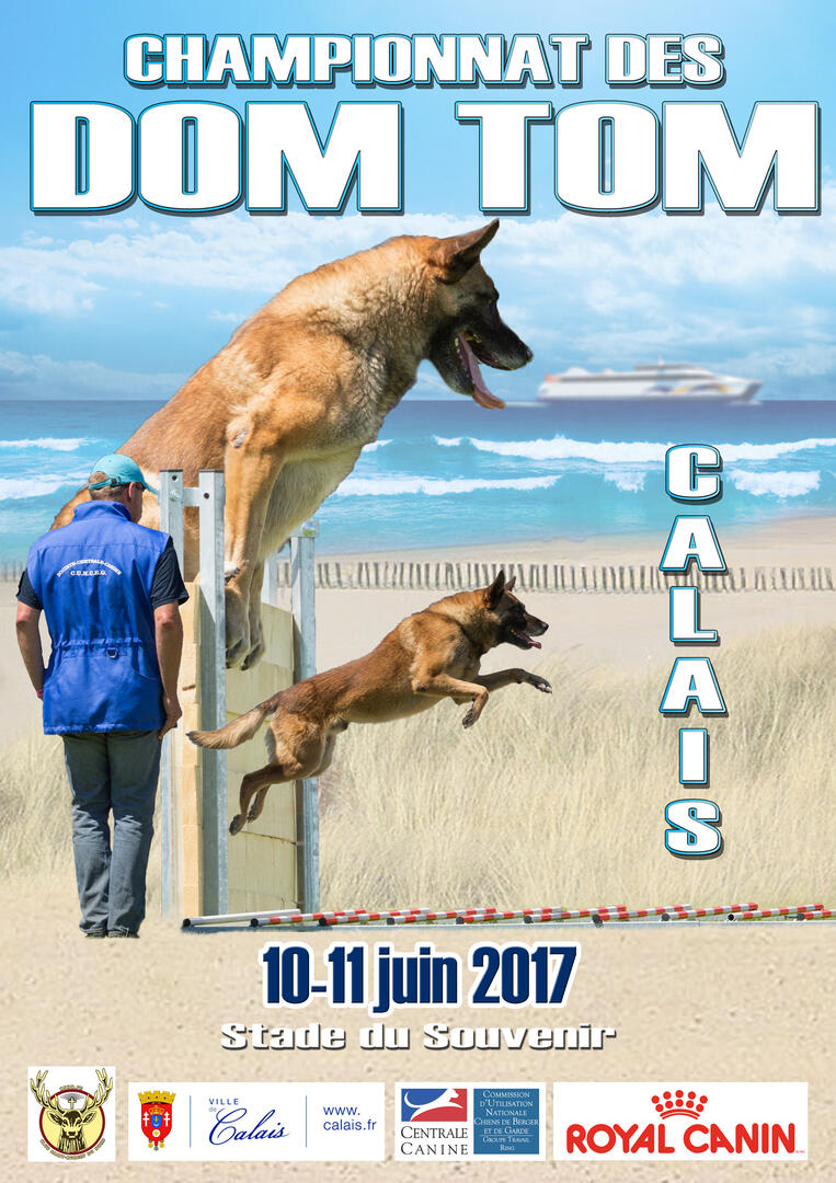 dom-tom.jpg