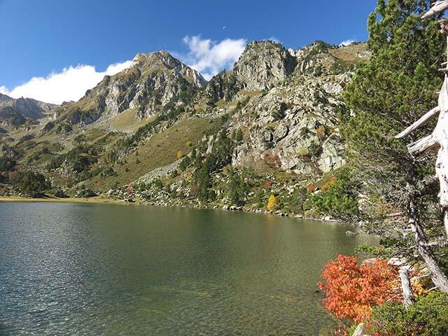 laurenti etang.jpg