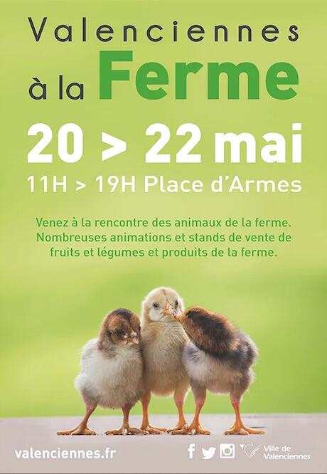 valenciennes-ferme.jpg