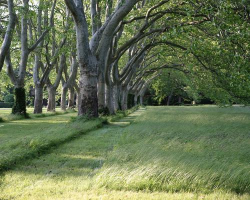 Parc chateau de montlaur.jpg