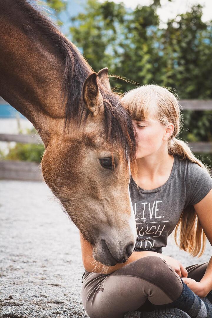 Cheval_adolescent_La_Roche_Posay ©Pezibear.jpg
