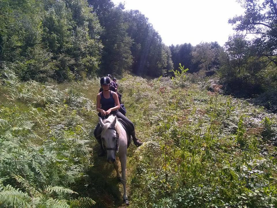 Au pré des chevaux Pressac ©Au Pré des chevaux.jpg