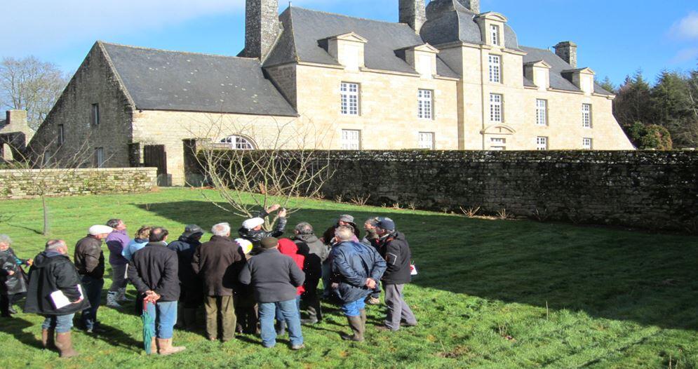 taille arbres fruitiers.jpg