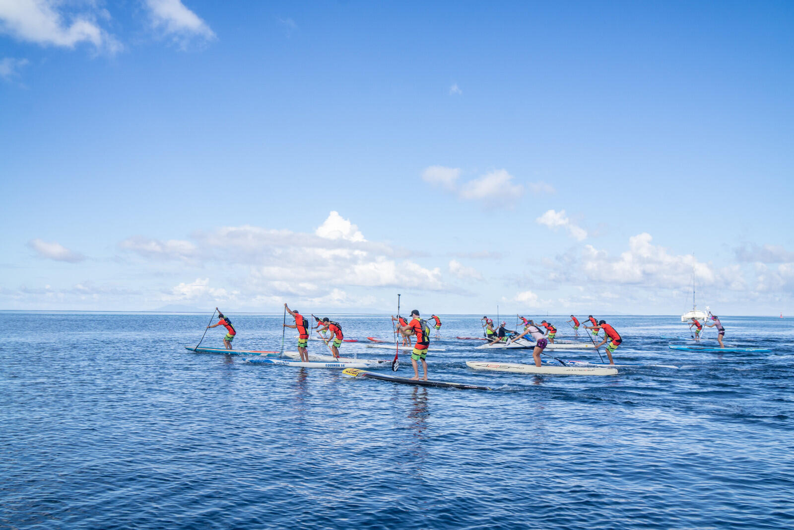 Paddle © Kim Lawson.jpg