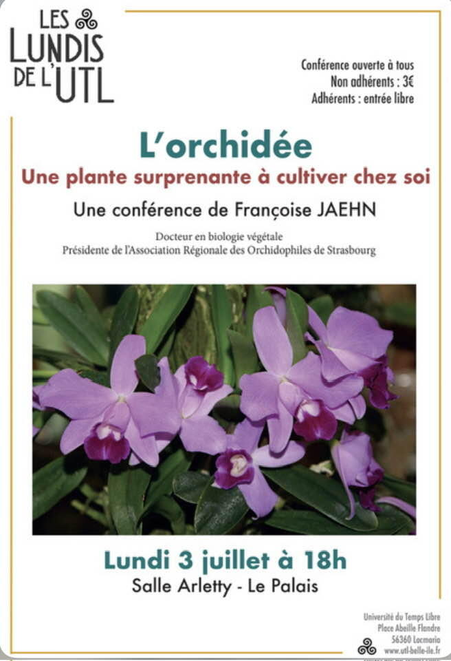 Conférence UTL.jpg
