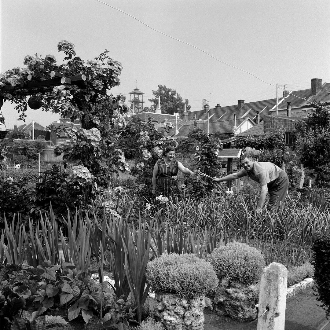 Jardin ouvrier, Lens, 06:07:1967 - C. Centre Historique Minier.JPG