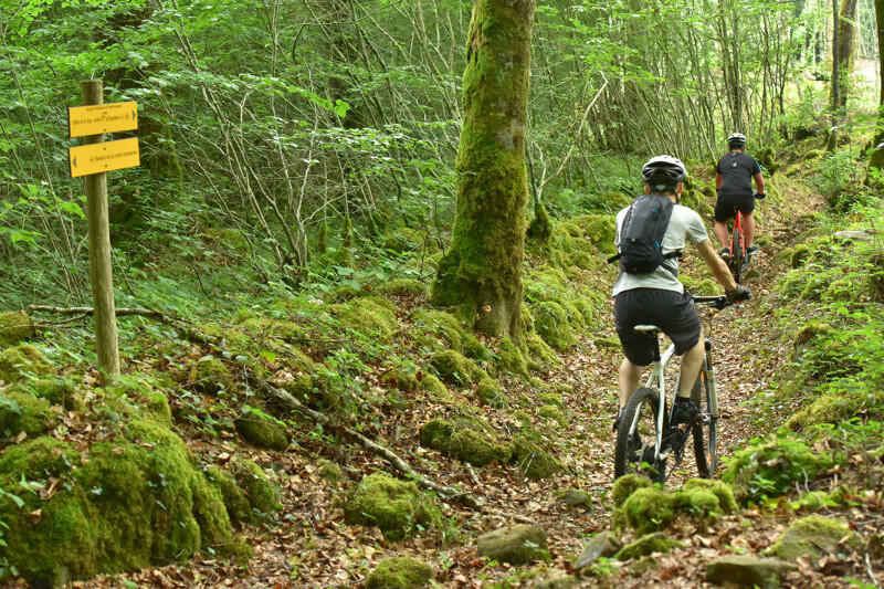 Bourganeuf-Foret-d-Epagne-VTT-credit-J.Damase-2016-9.JPG-800px.JPG