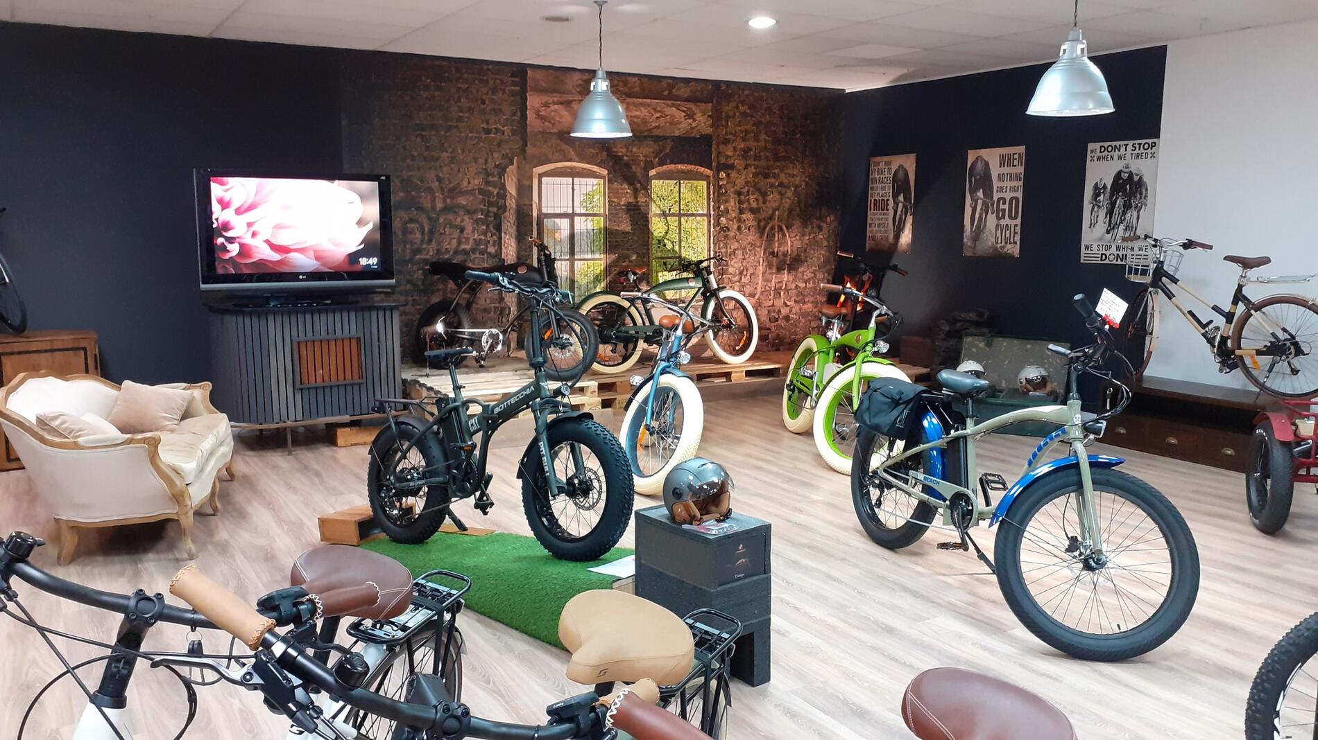 e-bike_concept.jpg