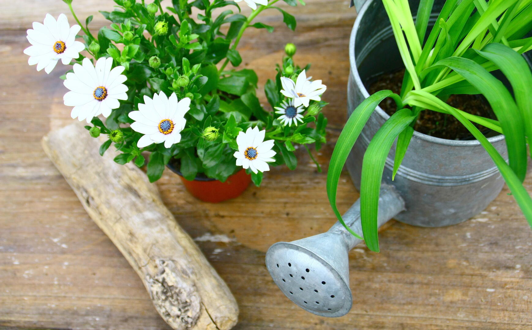 Fotolia_200066562_L.jpg