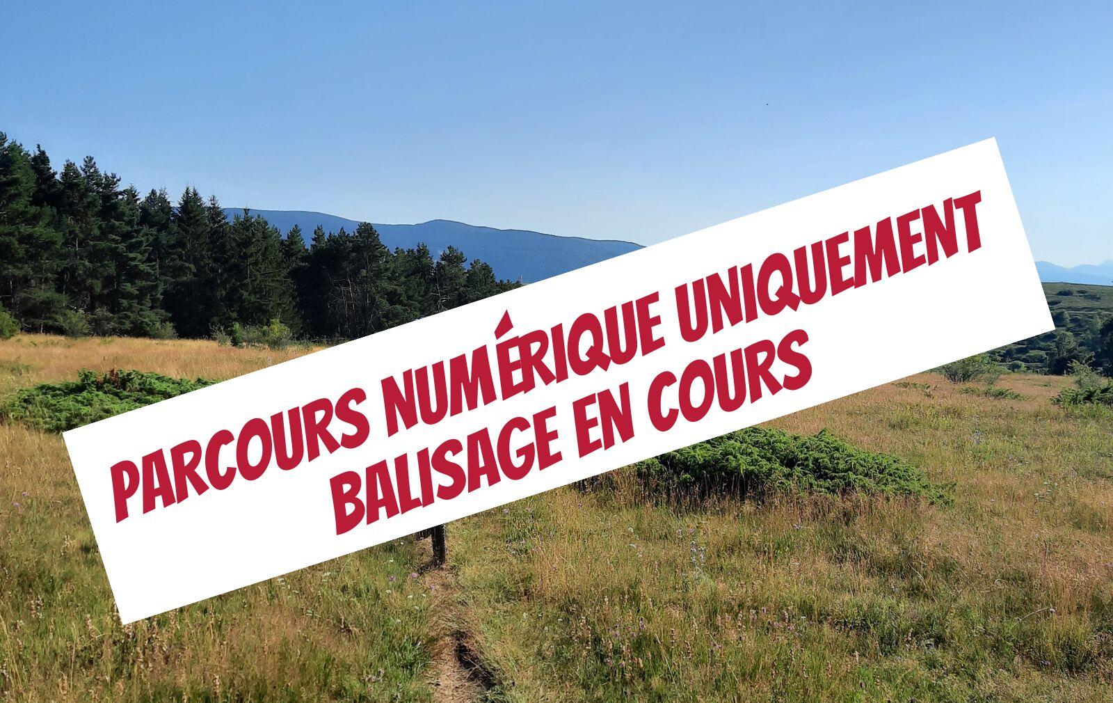 PARCOURS numérique uniquement balisage en cours(3).jpg