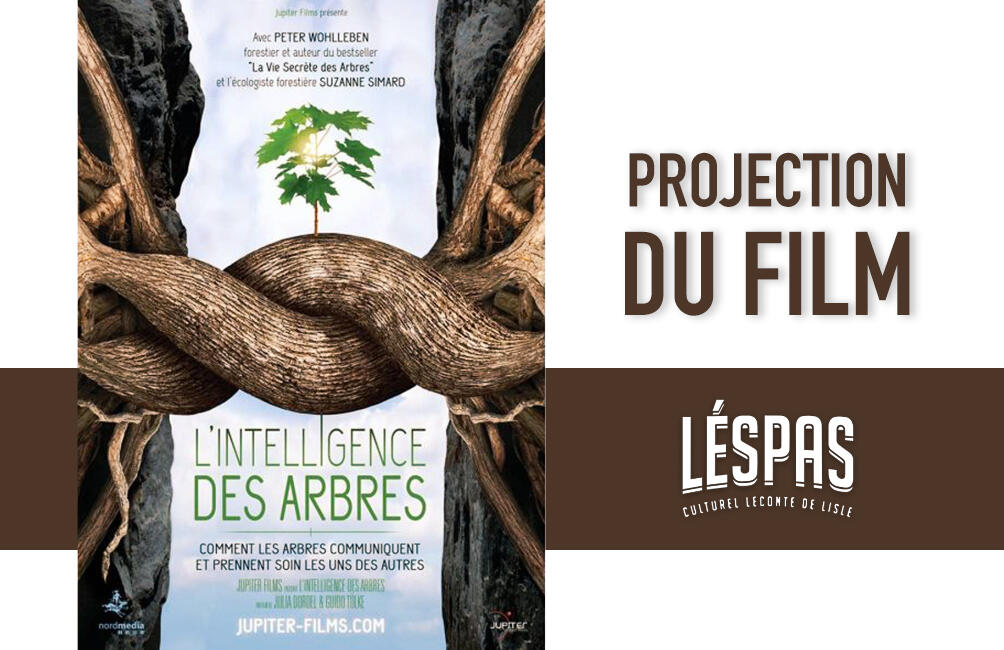 projection film l'intelligence des arbres.jpg
