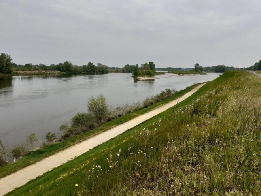 levee-1-768x576.jpg