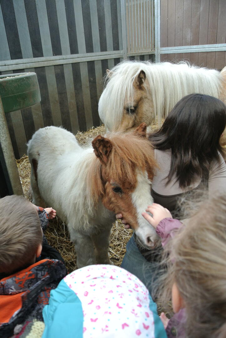 Haras du Pacault 2.jpg