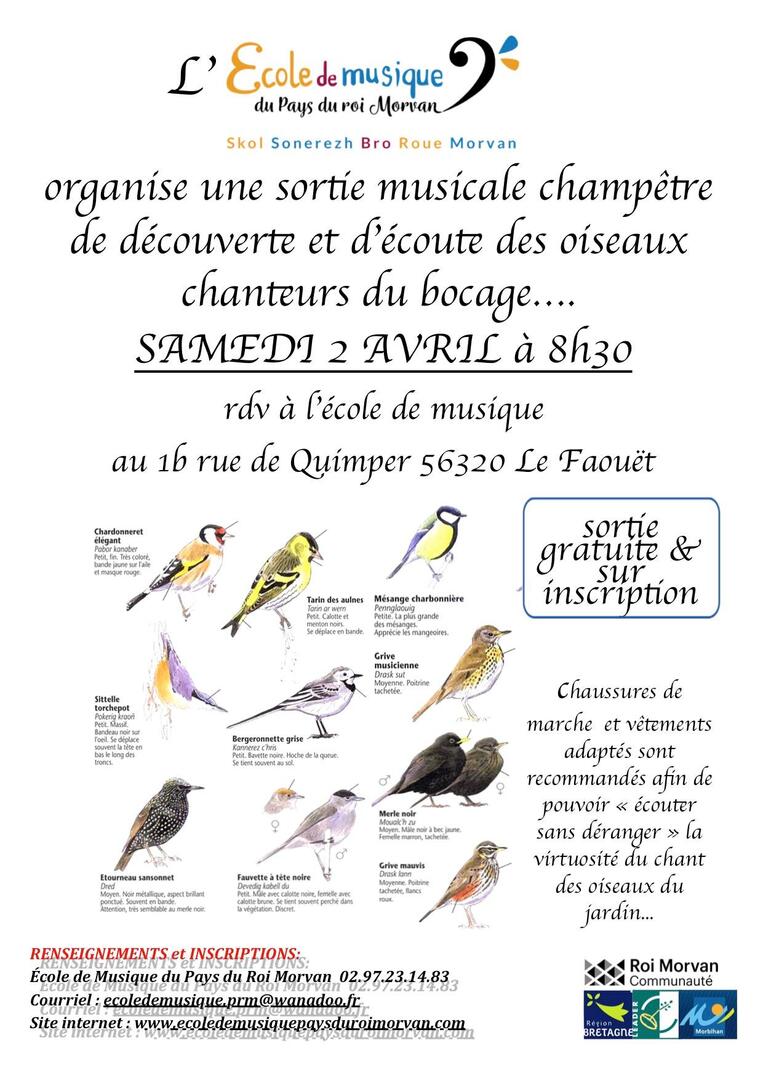 sortie oiseaux ecole de musique.jpg