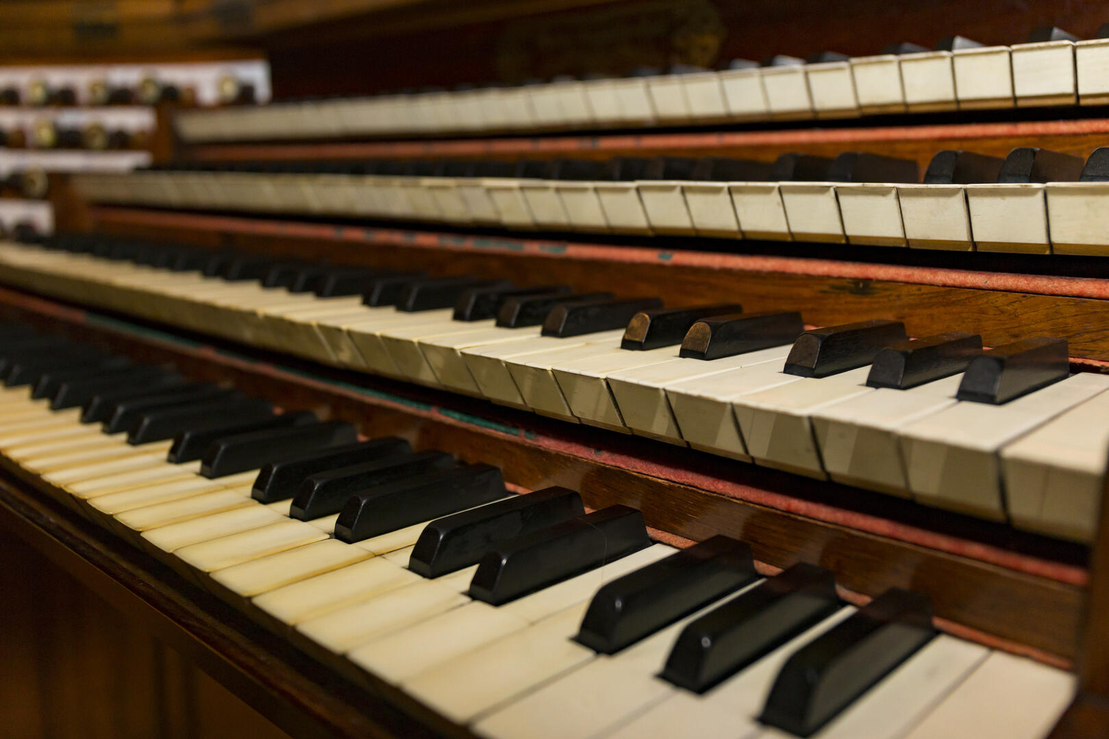 ADL 18-07-03 concert orgue 08.jpg