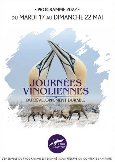 vinoliennes 3.jpg