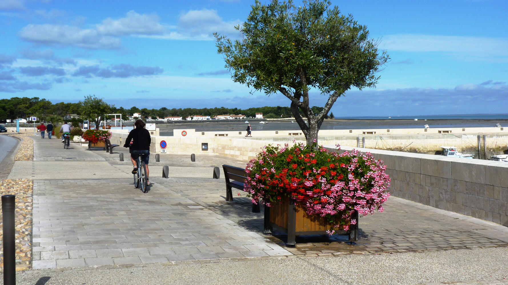 port-de-rivedoux-plage©Julie-Foulquier-(web).jpg