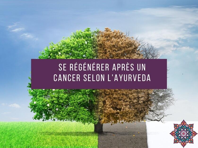 Se régénérer après un cancer.jpg