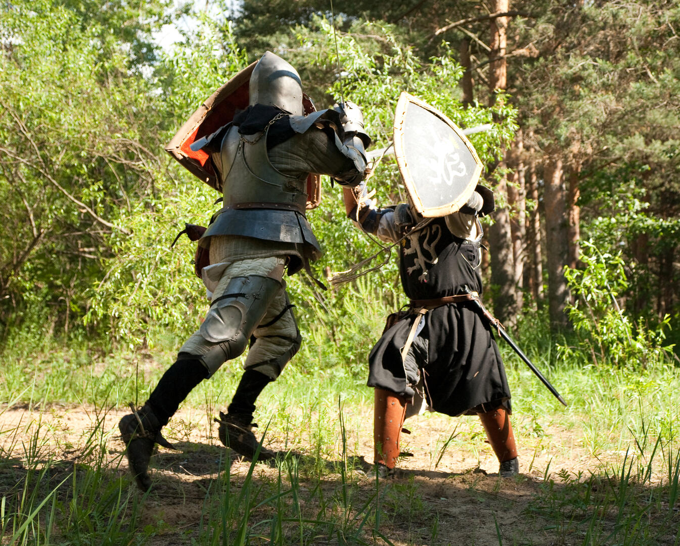 chevaliers-combattants.jpg
