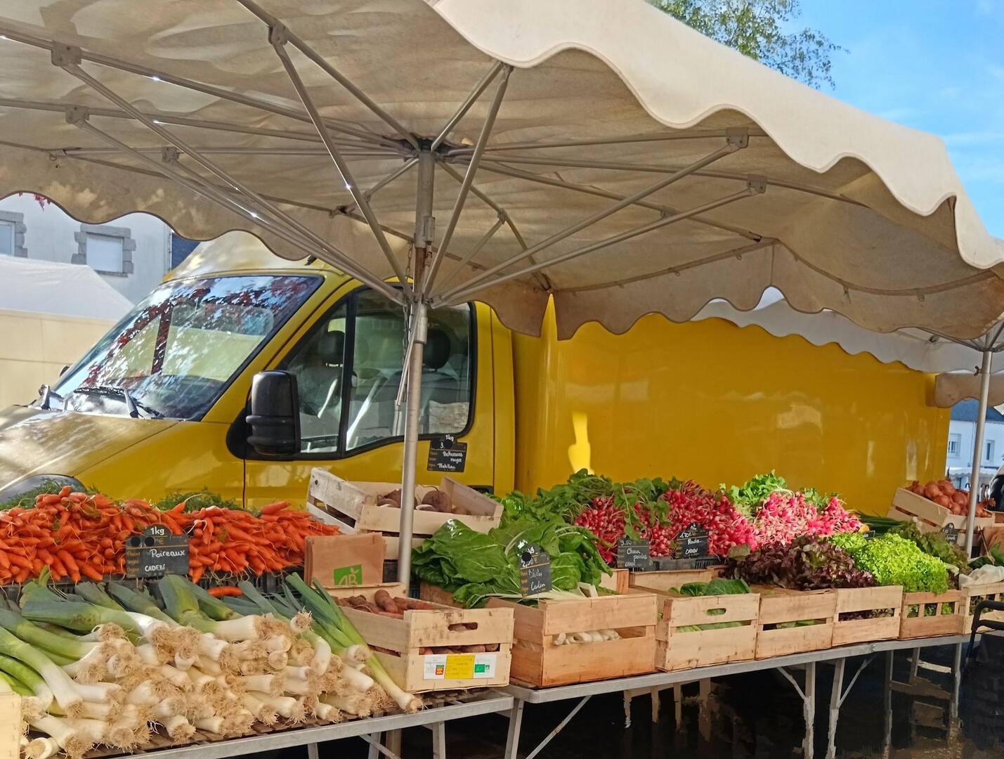 Photo les Biaux Légumes-Etal printemps.jpg