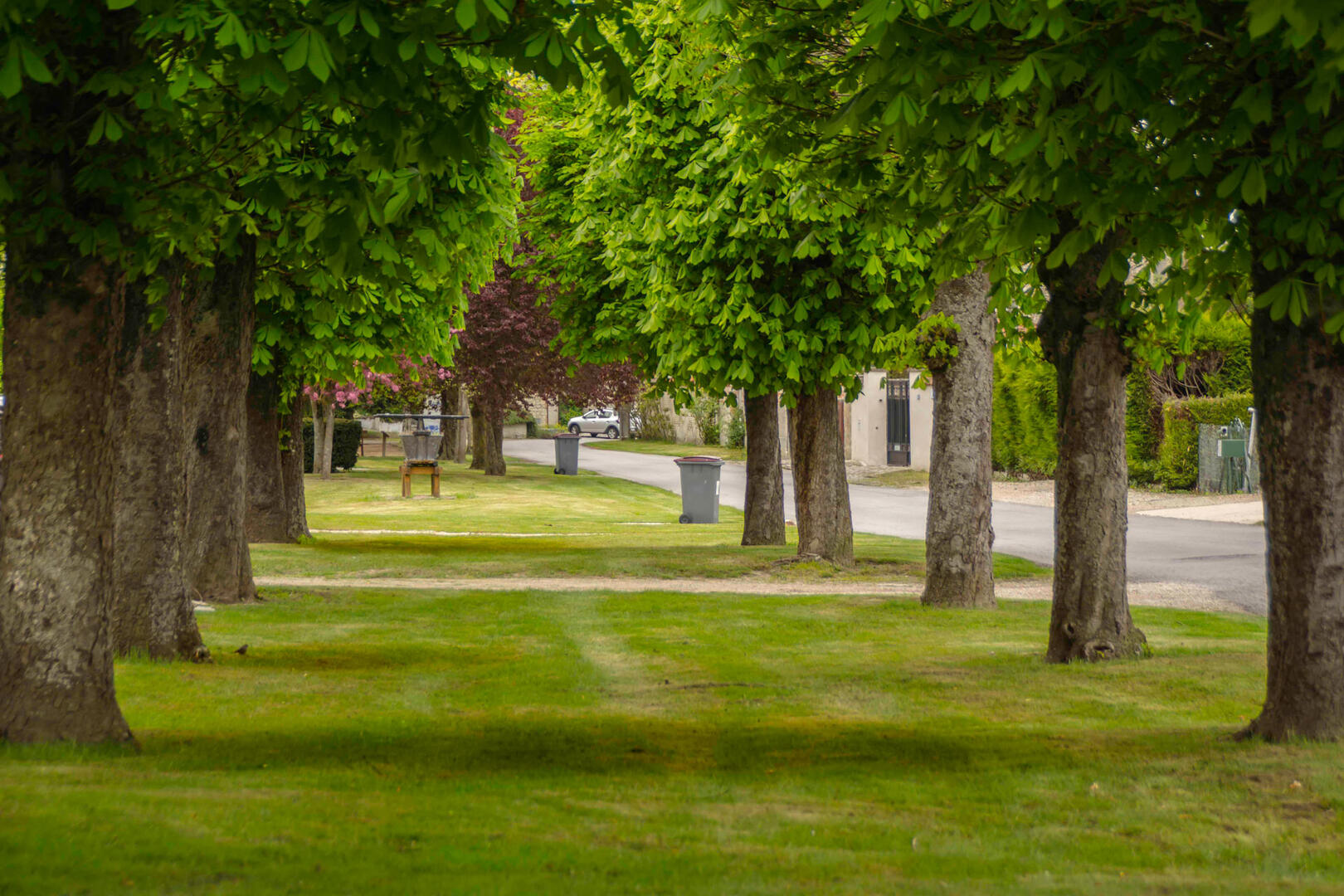 13.remparts-midi-arbres.jpg