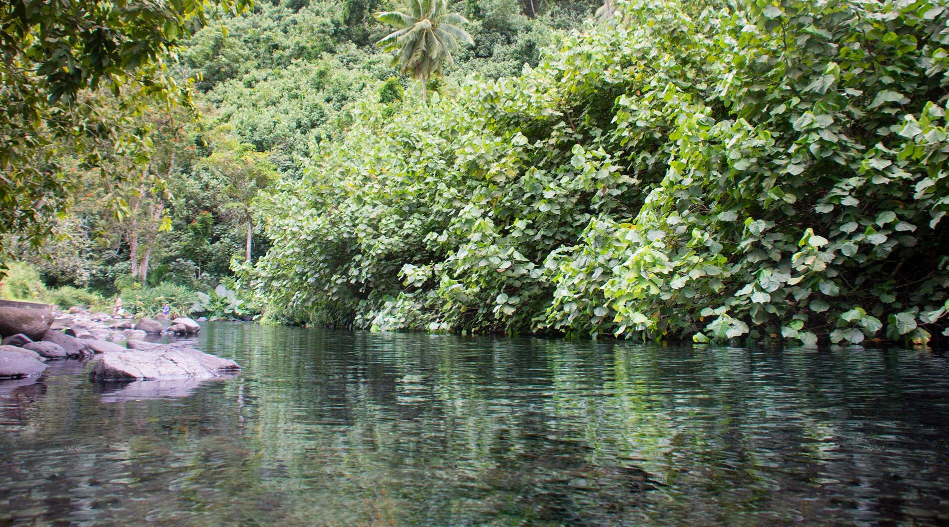 Source-Vaima_Horizontal-1_© Teriitua Maoni.jpg
