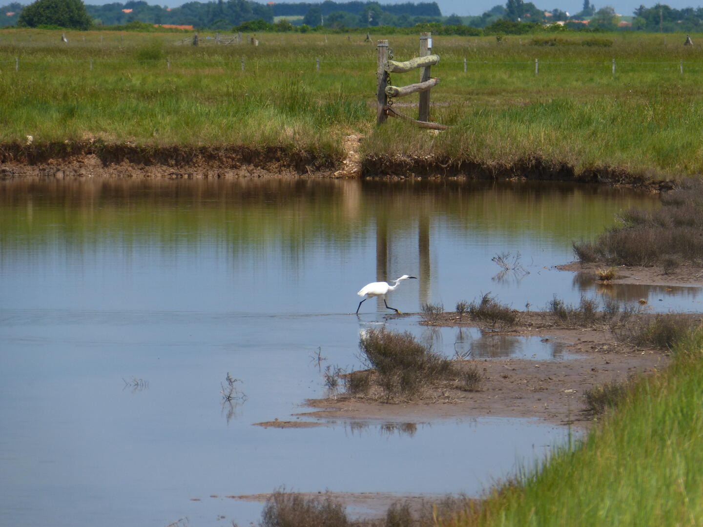 rochefort-ocean-marais-charente©LPO (2).JPG