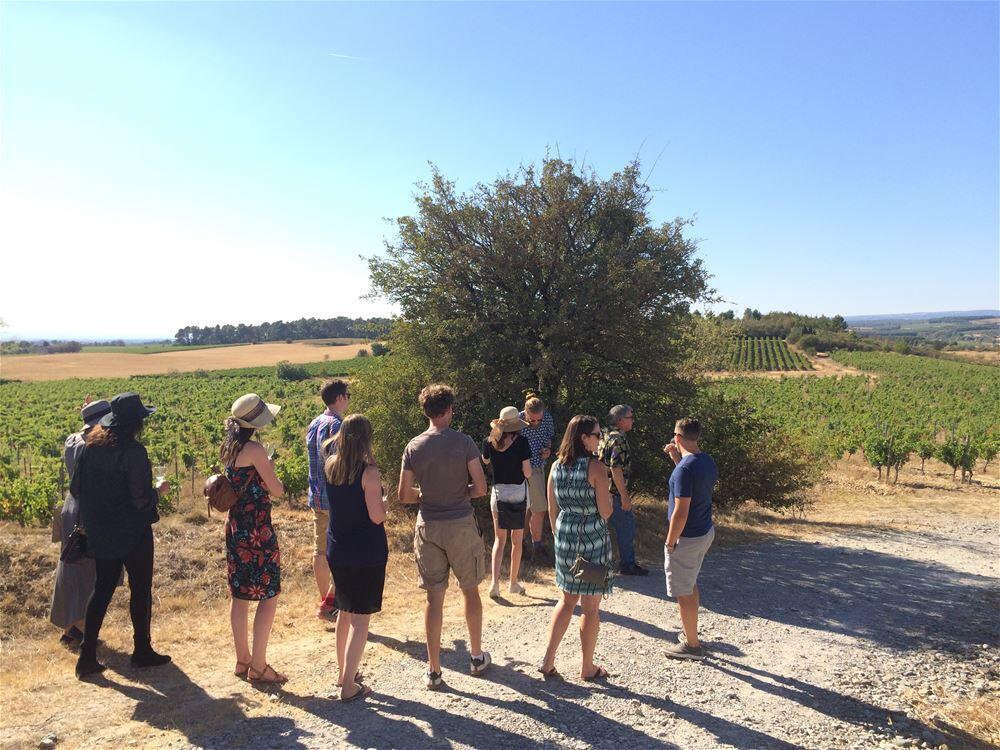 Visite de 3 vignobles Dégustation de vins1.jpg
