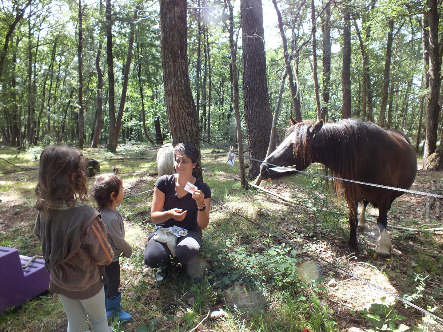 Atelier_enfant_Poney_qui_es_tu_Ferme_equestre_naturelle_les_Grillaults_La_Roche_Posay.JPG