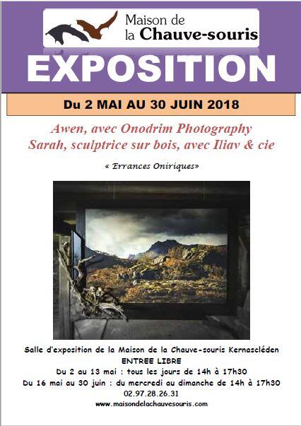 expo maison chauve-souris.JPG