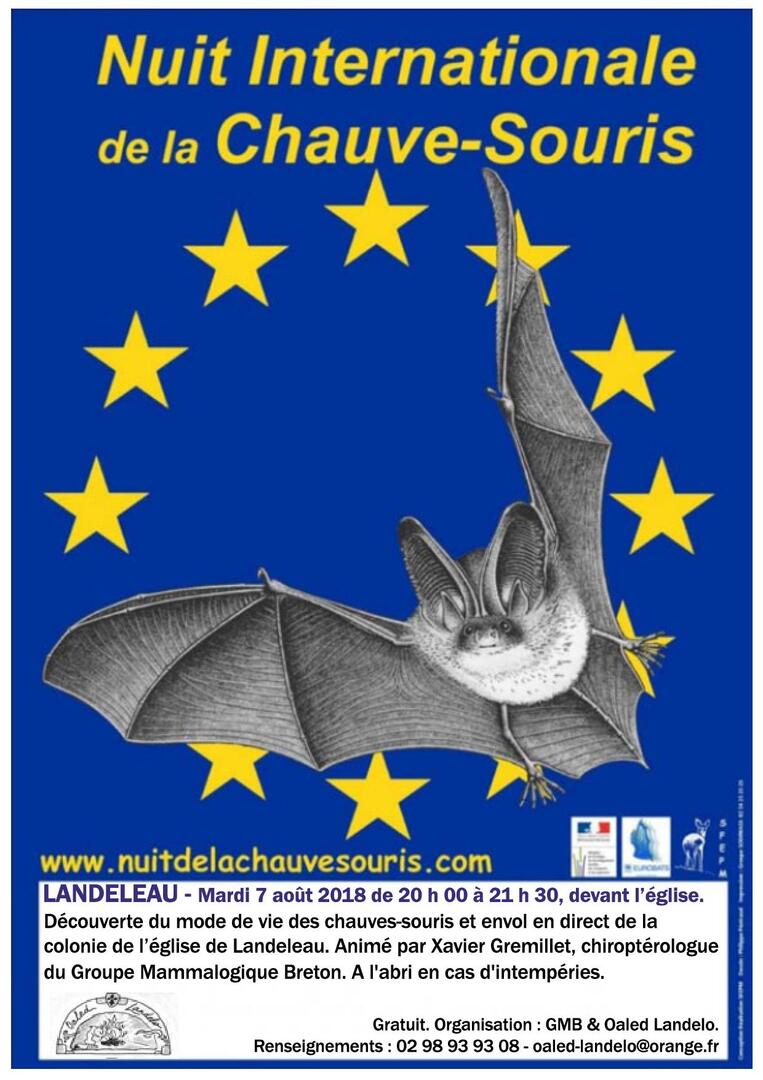 Nuitchauvesouris_Landeleau_Atout2018.jpg