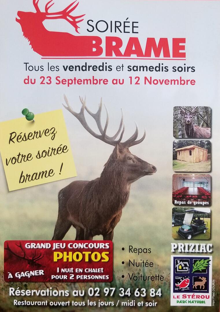 soirées brames Le Stérou.jpg