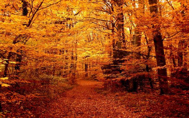 2017-10-12-jesen-77865.jpg