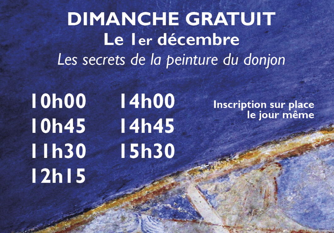 dimanche gratuit chateau comtal .jpg