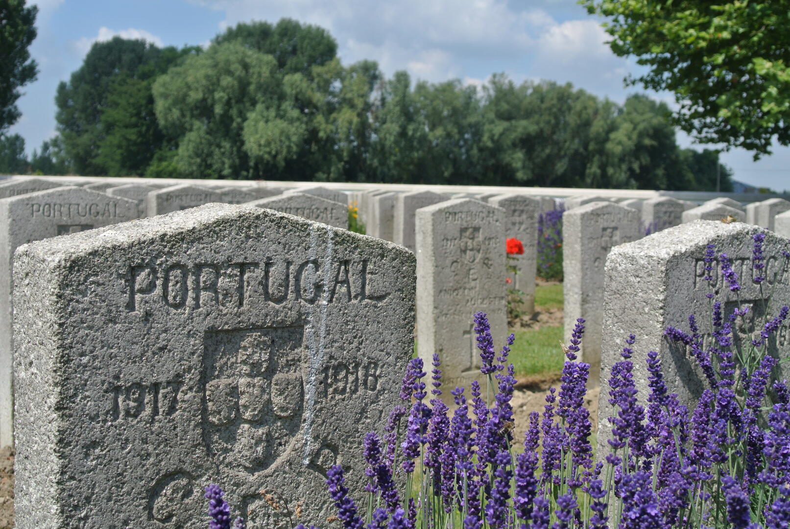 Photo pour les visites.JPG