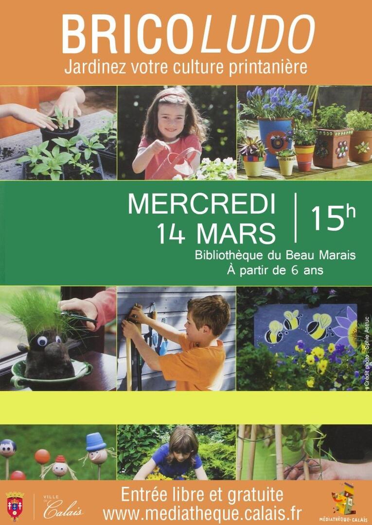 Bricoludo - BBM - 14 mars 2018.jpg
