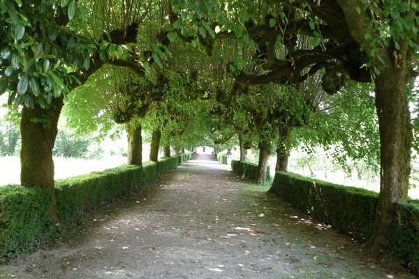 allée_abbaye_Langonnet.JPG