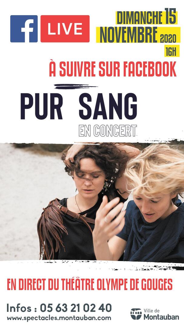Sans titre2.jpg