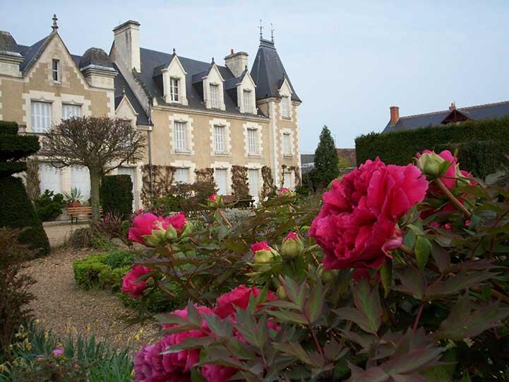 pivoines_le_prieur.jpg