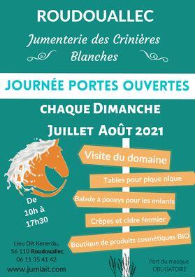 crinières blanches.jpg