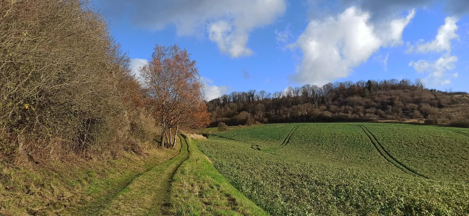Circuit du Rayon aux Renards