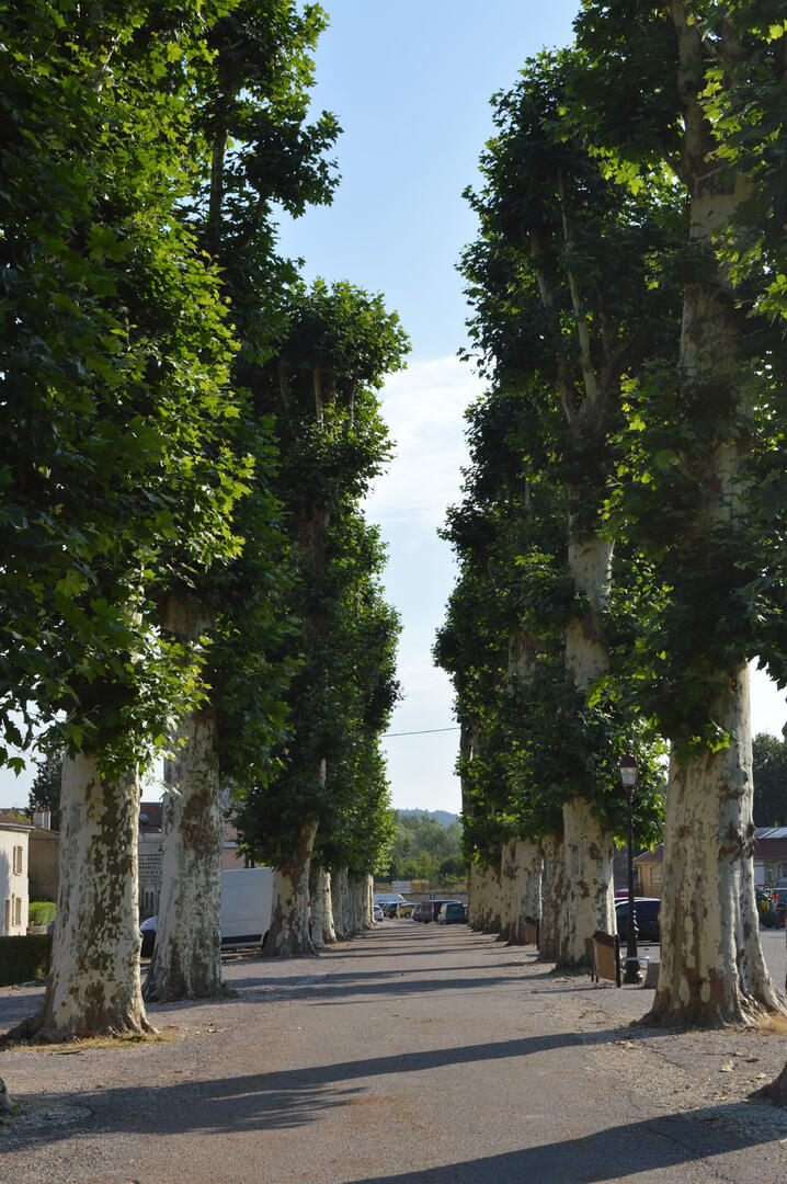 10-Place-de-la-greve.jpg