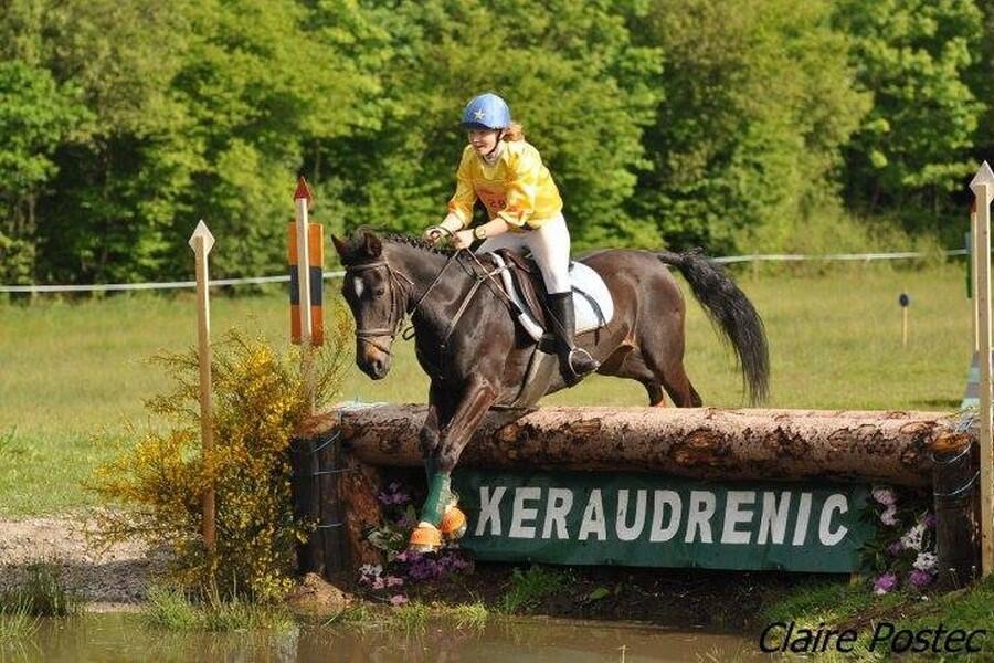 Concours_Equestres_Langonnet.jpg